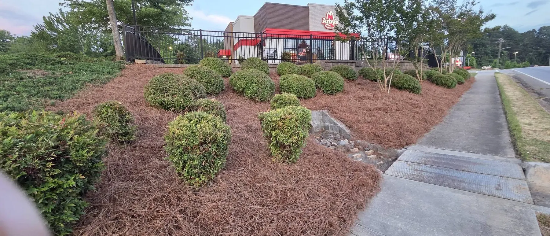 Trimmed shrubs and refreshed pine-straw beds after the commercial property reset