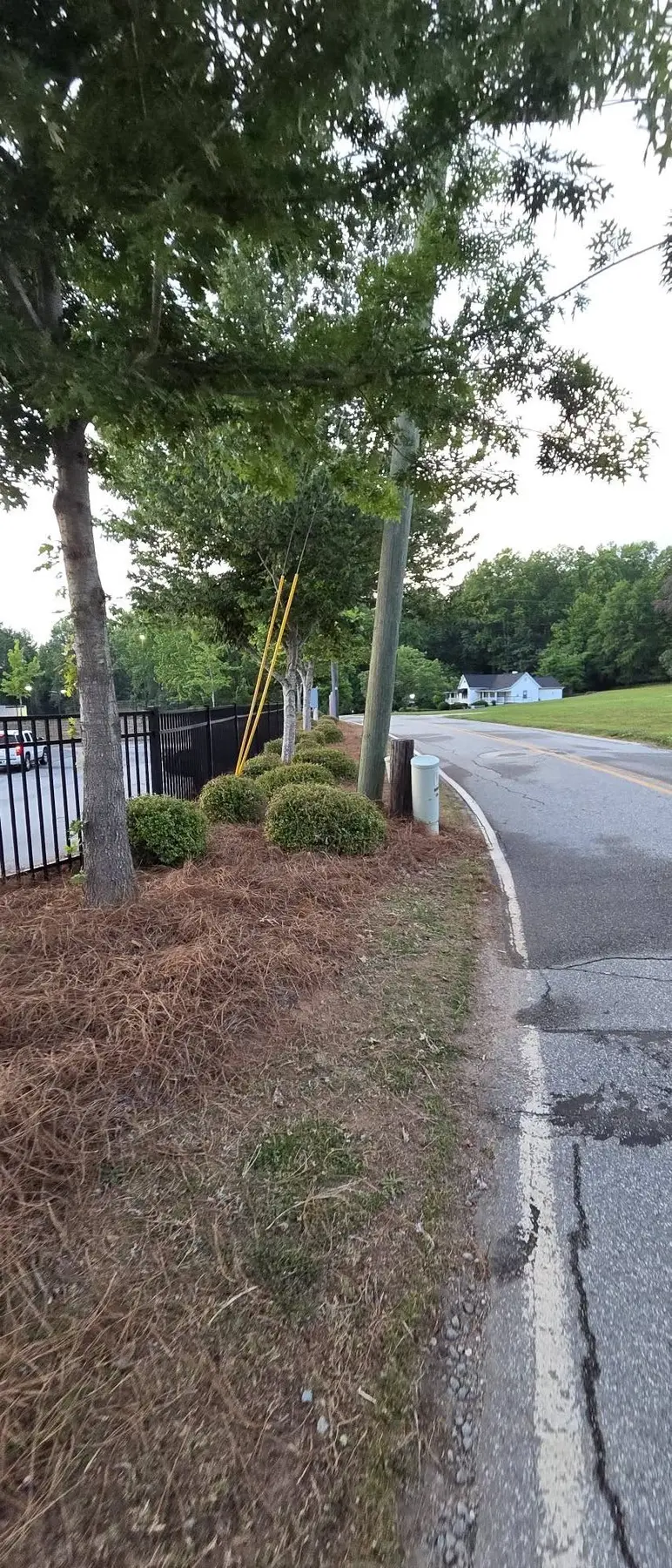 Clean roadside beds and neatly shaped shrubs along the property fence