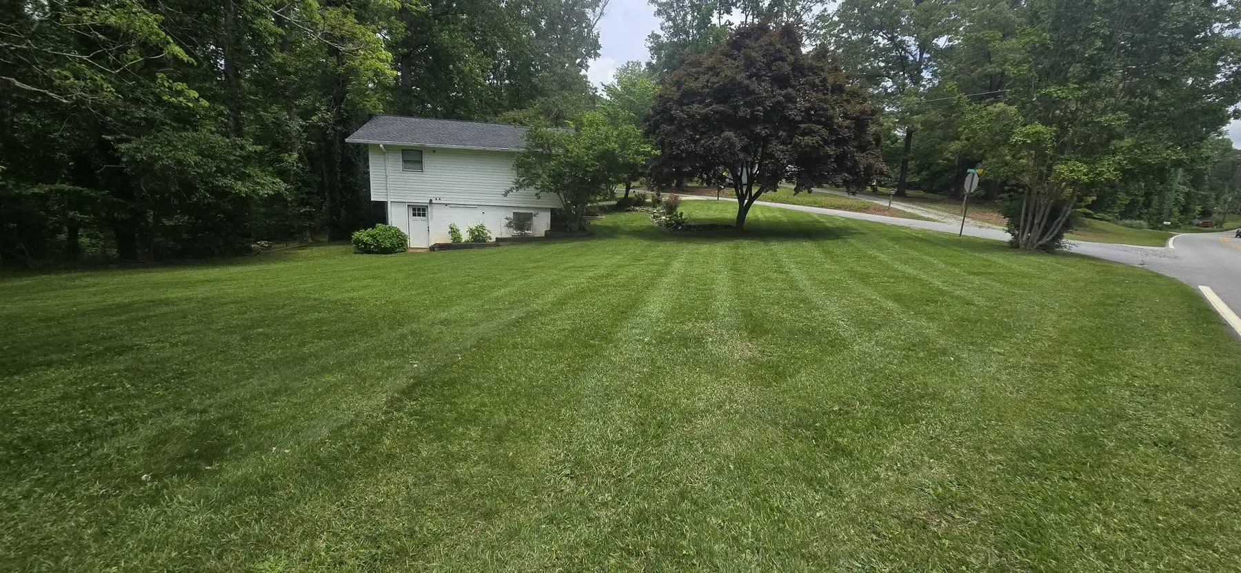 Freshly mowed residential lawn with clean striping