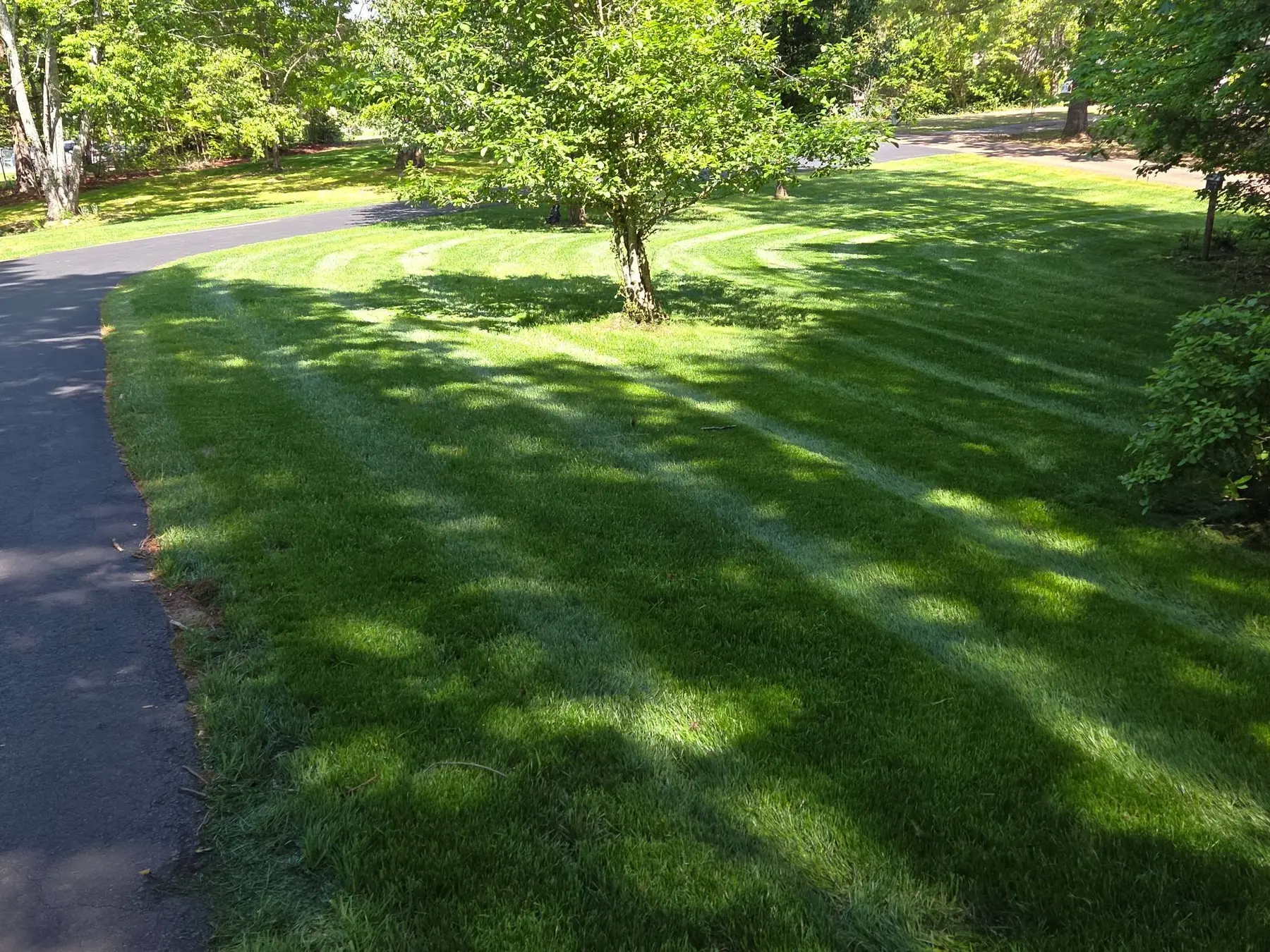 Maintained lawn and grounds surrounding a Northeast Georgia home