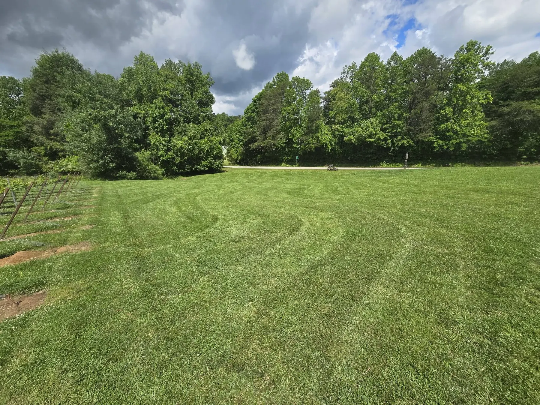 Maintained grass and grounds between vineyard areas
