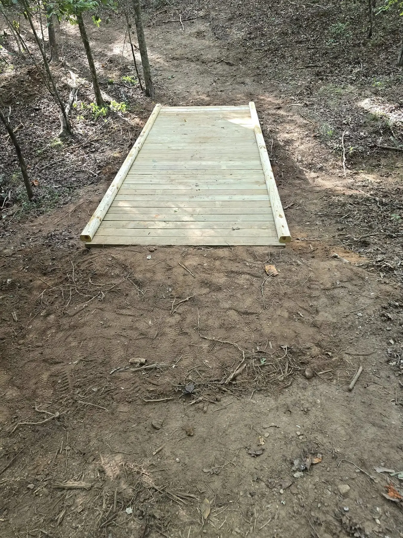 View across the completed bridge toward the continuing woodland trail